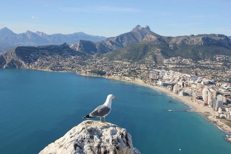 Villa Senieta - Plusholidays Calpe Zewnętrze zdjęcie